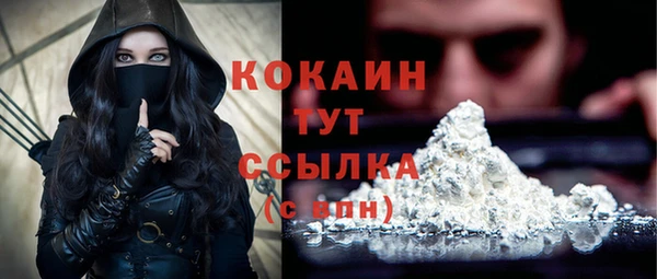 гидропоника Белокуриха