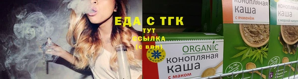 индика Надым