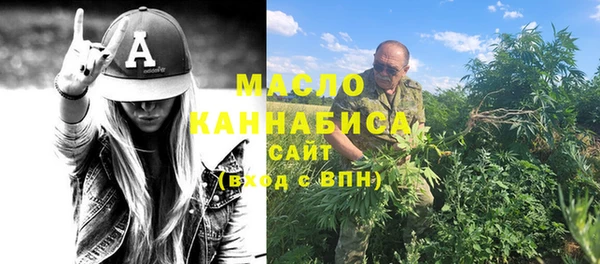 индика Надым