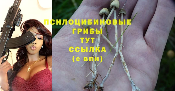 дживик Володарск