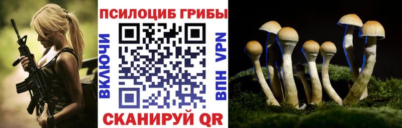 Псилоцибиновые грибы ЛСД  купить наркотики сайты  KRAKEN зеркало  Сибай 